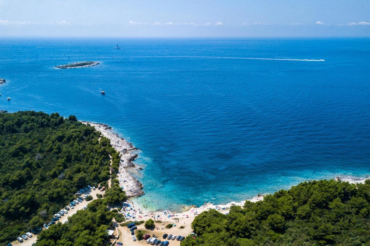 Modern Villa Nerina With Private Pool Near Pula Dış mekan fotoğraf